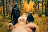 Wanderung im bunten Herbstwald, TinoWeigeltPhotography